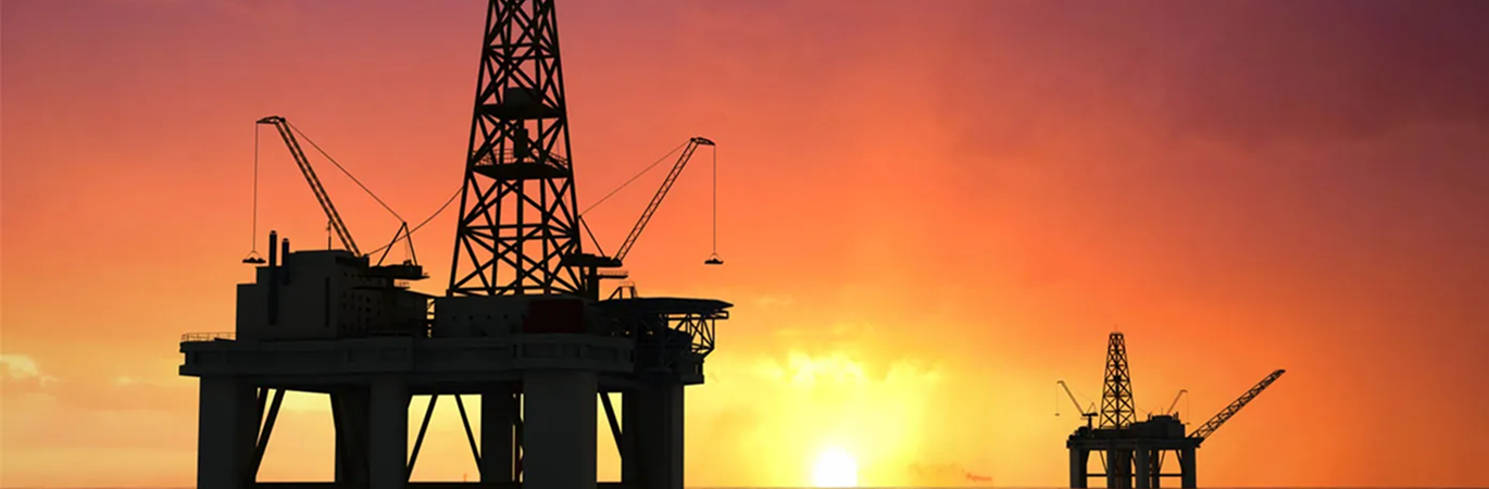 Uzman Ağ Mühendisliği Eğitim ve Danışmanlık Hizmetleri