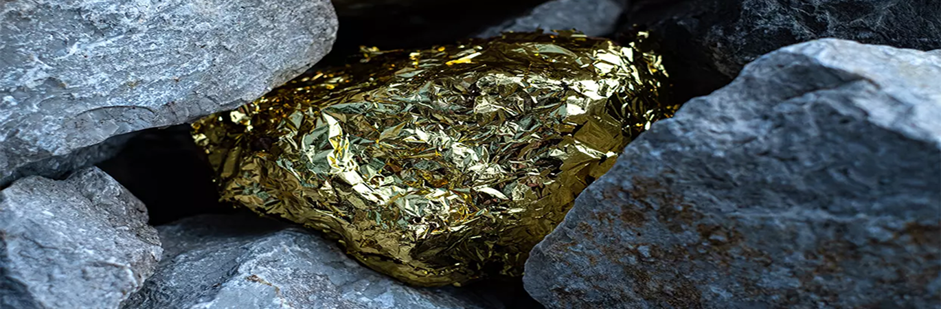 Uzman Ağ Mühendisliği Eğitim ve Danışmanlık Hizmetleri